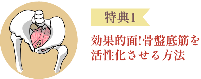 特典1：効果的面!骨盤底筋を活性化させる方法